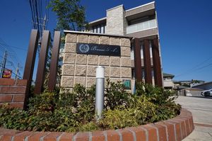 ブラウニー　ロック