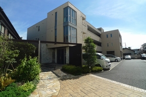 Ａｒｉａ－ｎｏｐｓ 216号-1