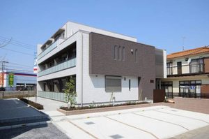 ボールド・ロー