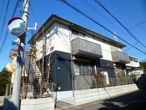 Ｐｏｍｍｅ　ｄｅ　ｔｅｒｒｅ