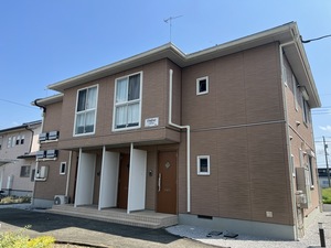 コトリネ．ダフネ 101号-1