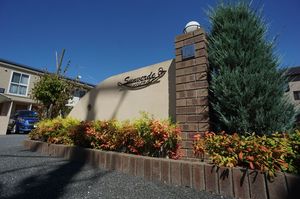 サンベルデ　Ｂ 202号-1