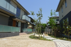 アミコート　Ａ