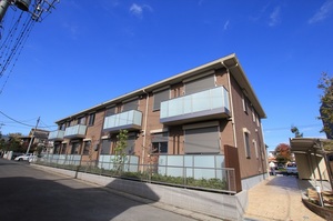 柿の樹１１７　Ｄ