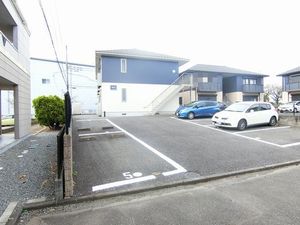 Ｗｉｌｌ（ウィル）