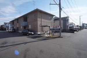 スターチス　Ａ 103号-1