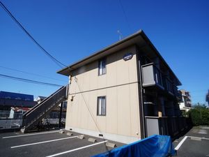 ヴェルドミール