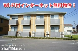 リヴェールＦ 203号-1