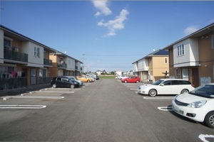 カーネーション　Ｂ 201号-1