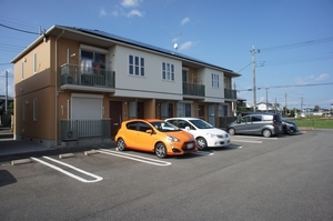 カーネーション　Ｃ 101号-1