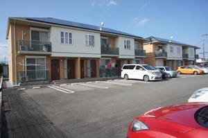 カーネーション　Ｄ 201号-1