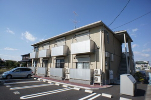 シャインスール