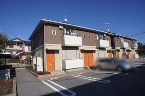 ダンデライオン　Ｈ