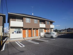 ダンデライオン　Ｂ