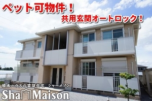 カトリーヌＤ 101号-1