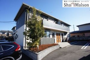 Ｂｒｏｎｚｅ　ｗｏｌｆ