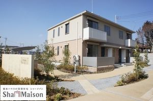 フェリシードＢ