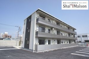 ステラ　フォレスト