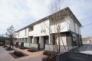 Ｓａｎｓｆｉｎｅ　Ｒａｄｉｃｅ