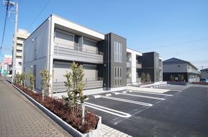 ｇｅｍ　ｖｉｏｌａ　Ｆ