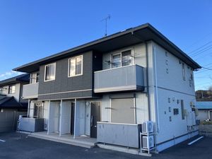 モンステラ 101号-1