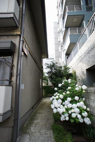 ヒル・グレイス小石川 102号-12