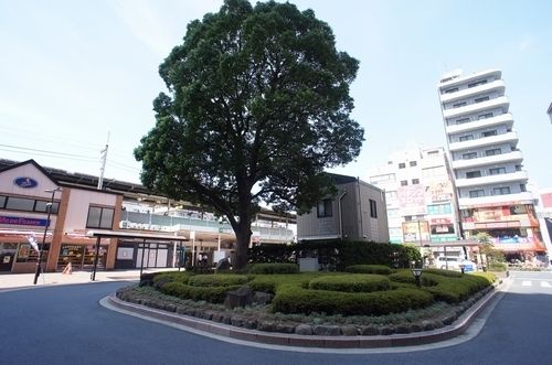 ヴィバレット野村 202号-13