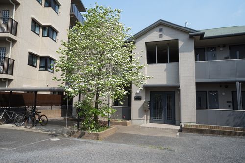 ラ・テールT 206号-14