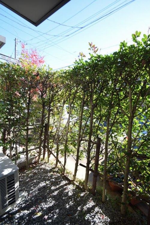 メゾン　グリーングラス 101号-15