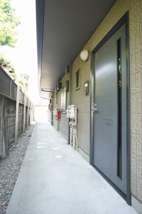 Olive 203号-12