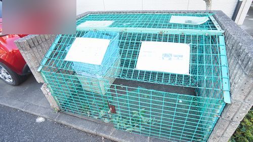 Maison de Noah 103号-13