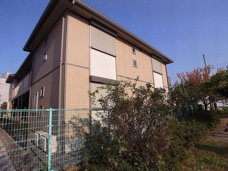 Ｏｒａｎｇｅ　Ｄｏｏｒ 201号-13