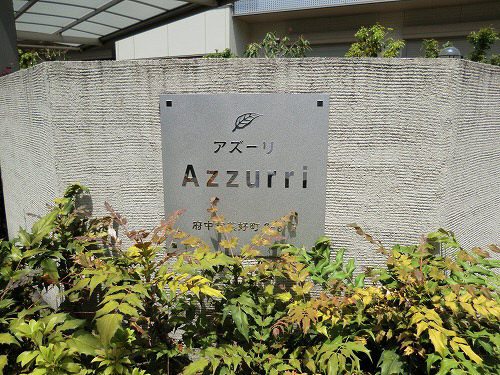 Ａｚｚｕｒｒｉ　Ｂ 205号-15