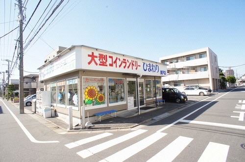 GIRASOLE-EST 103号-15