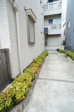 BONITA 302号-14