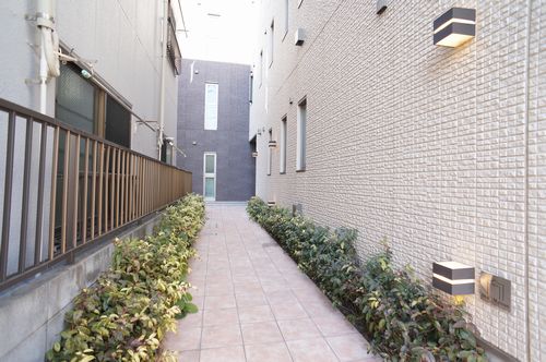 Ｌｏｔｕｓ　Ｎｏｖｅ 203号-12