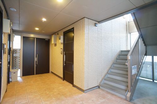 Ｌｏｔｕｓ　Ｎｏｖｅ 203号-14