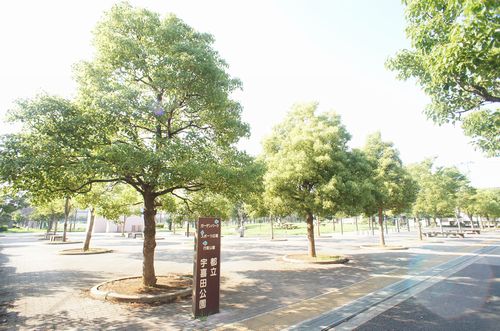 Ｓｈａ　Ｍａｉｓｏｎ　Ｎａｄｅｓｈｉｋｏ 102号-15