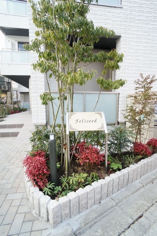 Ｆｅｌｉｓｅｅｄ 203号-14