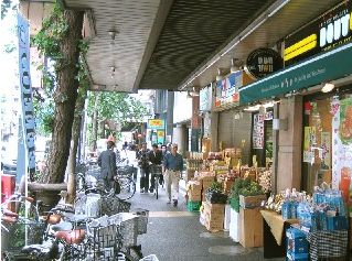 ティアーズメゾン 301号-14