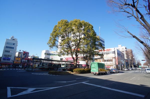 カノンハイツⅡ 101号-13