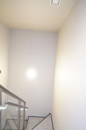 Bela Domo 大和 101号-5