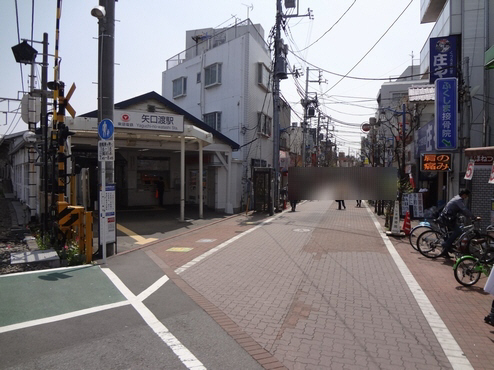 ゼルコバ　Ａ 102号-13