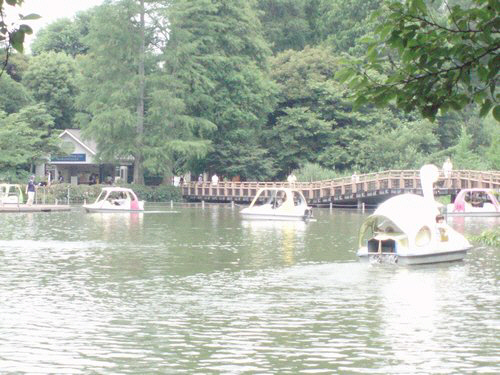 メディオ三鷹 103号-15