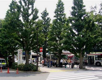 アザリー武蔵野 102号-13