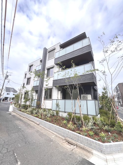 サクラグレイス