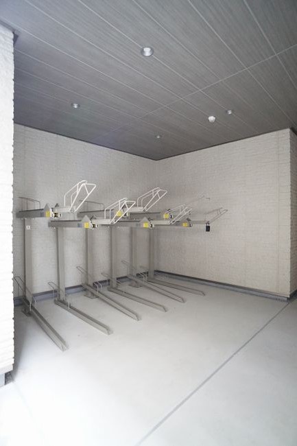 Ｐｌａｉｓｉｒ　Ⅱ 302号-5