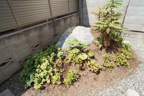 レフィアント 101号-14