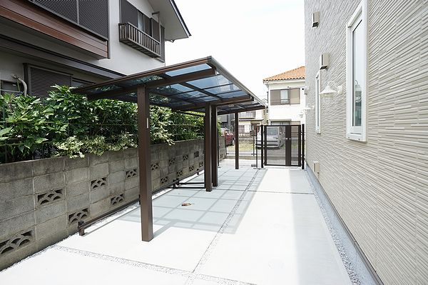 Ｐｉｎｅ　Ｌｉｍｂ　Ｂ 201号-14