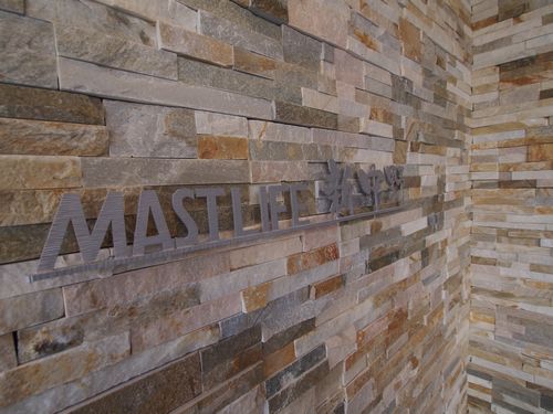 マストライフ新中野 103号-14